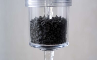 Transform Your Shower with an activated charcoal filter for fresher, cleaner water.