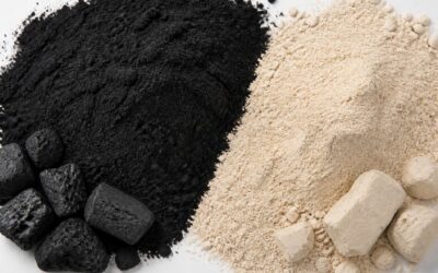 Activated charcoal or fuller’s earth: natural detoxifiers for skin and health.